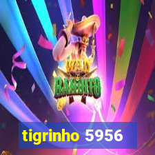 tigrinho 5956